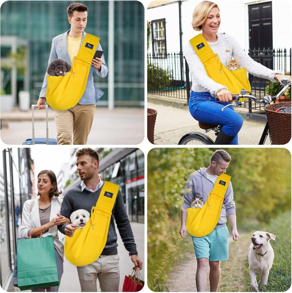 Trnsportes para pets