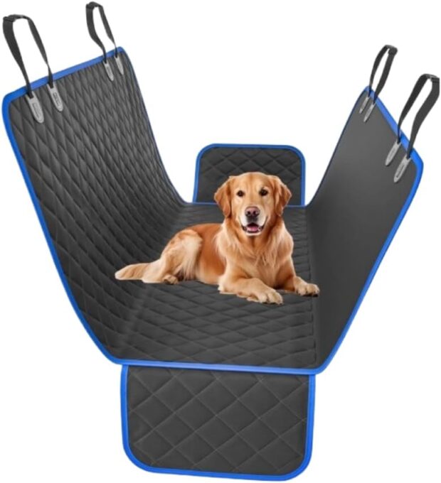 transportes para pets