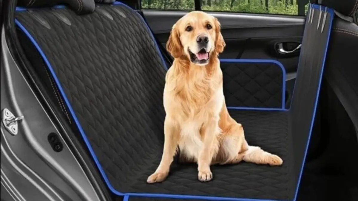 transportes para pets