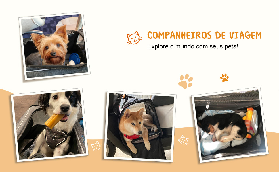 Bolsas de Transporte Pet Bolsas de Transporte Pet