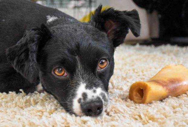 brinquedos perigosos