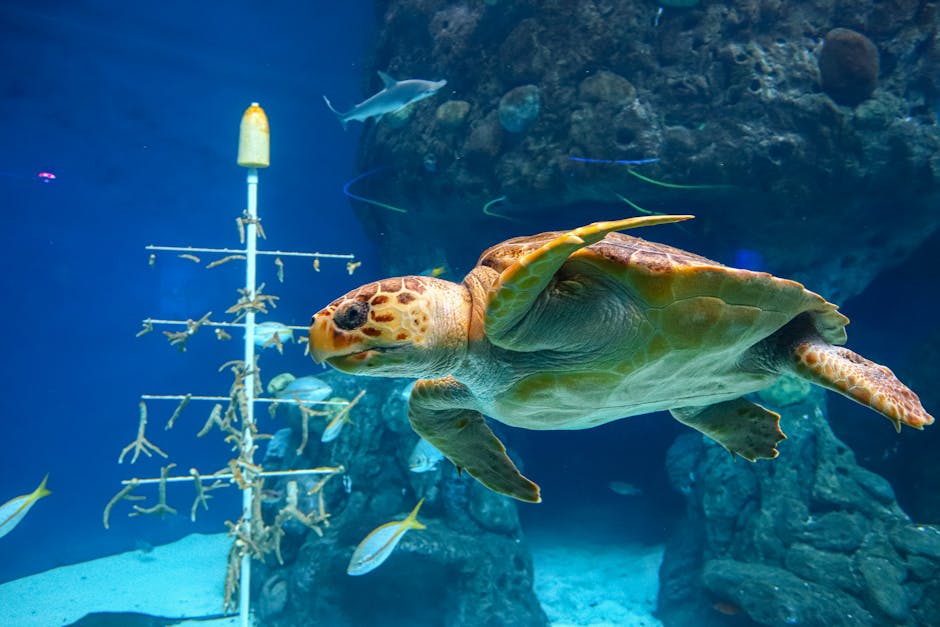 A captivating underwater scene featuring a majestic sea turtle swimming gracefully among other marine life.