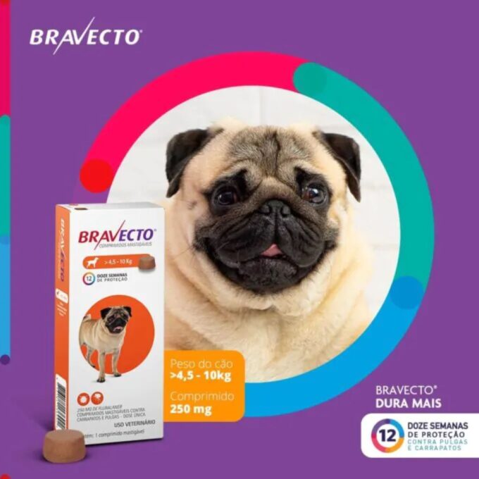 Antipulgas e Carrapatos - Mastigáveis Os Melhores Produtos para promoverem a Saúde & Proteção do seu Pet para 2026 Review Completo! 2 Bravecto — antipulgas e carrapaticida de longa duração.