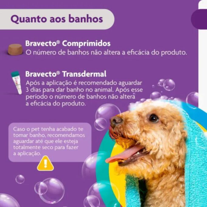Antipulgas e Carrapatos - Mastigáveis Os Melhores Produtos para promoverem a Saúde & Proteção do seu Pet para 2026 Review Completo! 4 Bravecto — antipulgas e carrapaticida de longa duração.