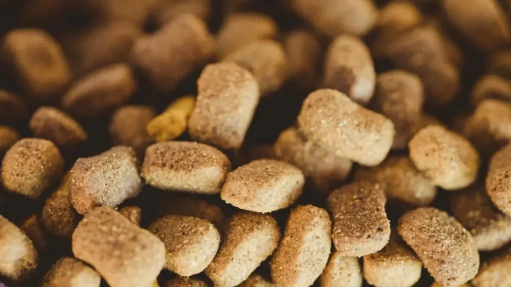 Melhor ração para cachorro com alergia alimentar: Top 5 para 2026