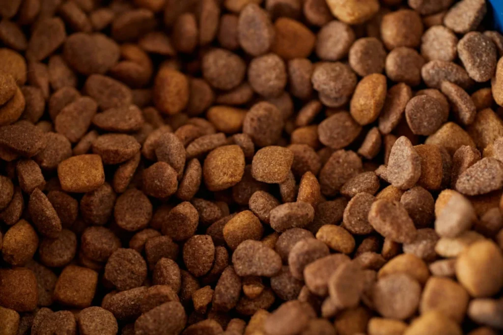 Melhor ração para cachorro com alergia alimentar: Top 5 para 2026